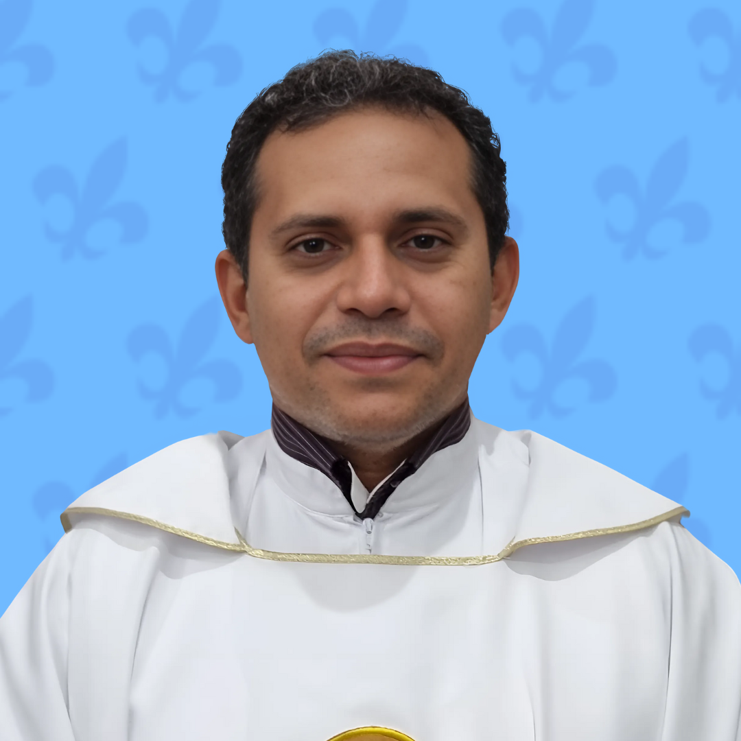 Flávio Marques Colins