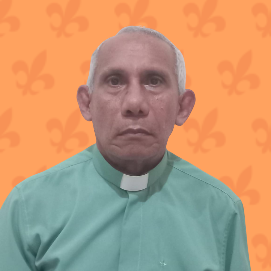 José Ribamar Ferreira Silva